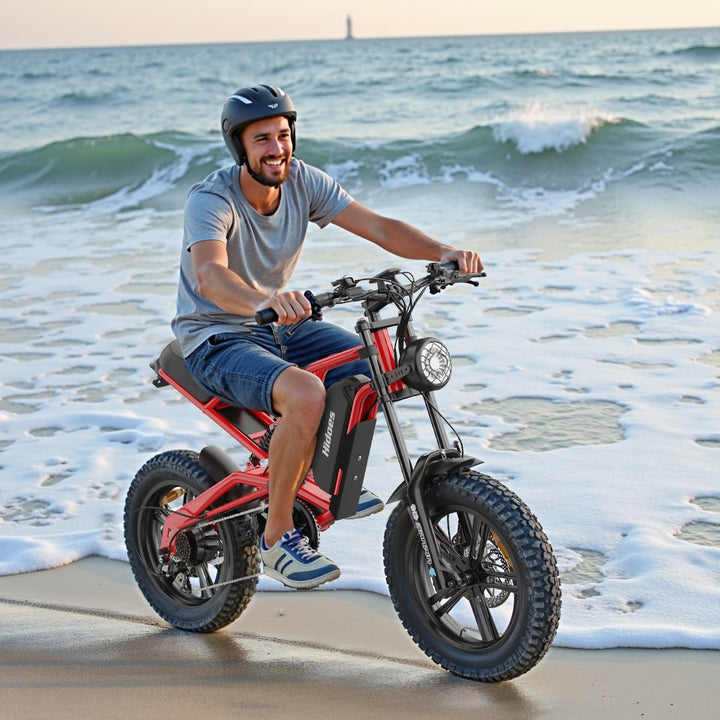 Elektrický bicykel Hidoes B6